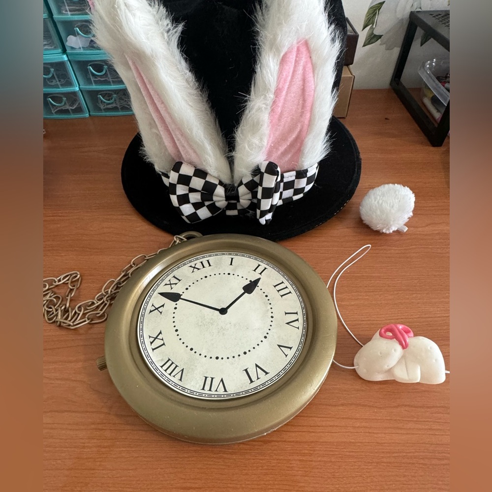 White Rabbit from Alice in Wonderland costume